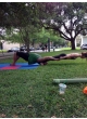 acroyoga profile photo