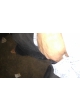 Bigbtty69 profile photo