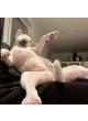 FeelTheKnead profile photo